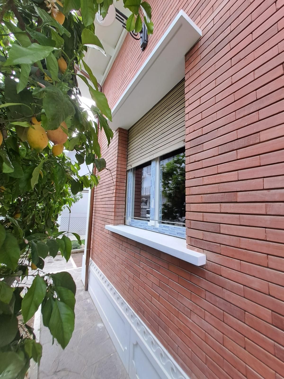 Finestra con la tapparella abbassata a metà su una casa in mattoni, dietro i rami di un albero di agrumi